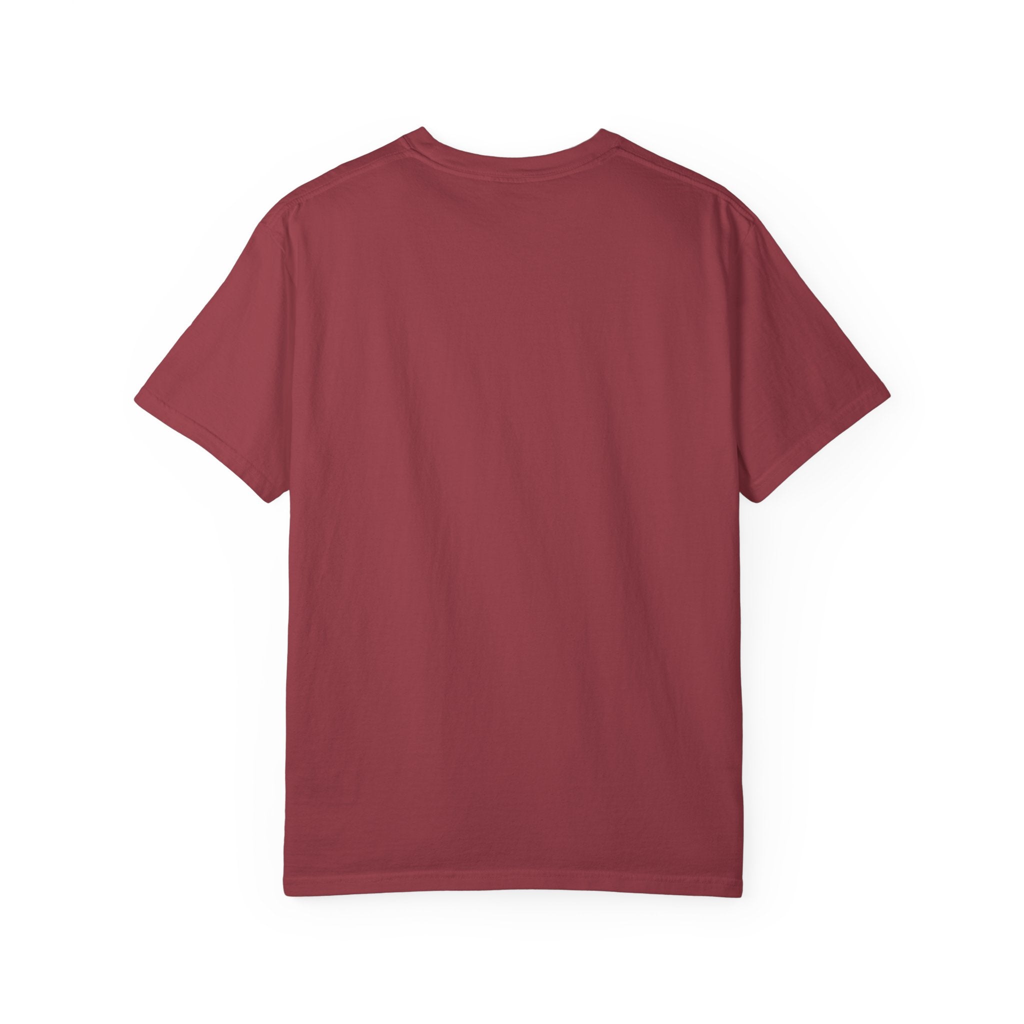 Stand Firm in the Faith Buffalo Illustration T-shirt | Act Like Men Be Strong